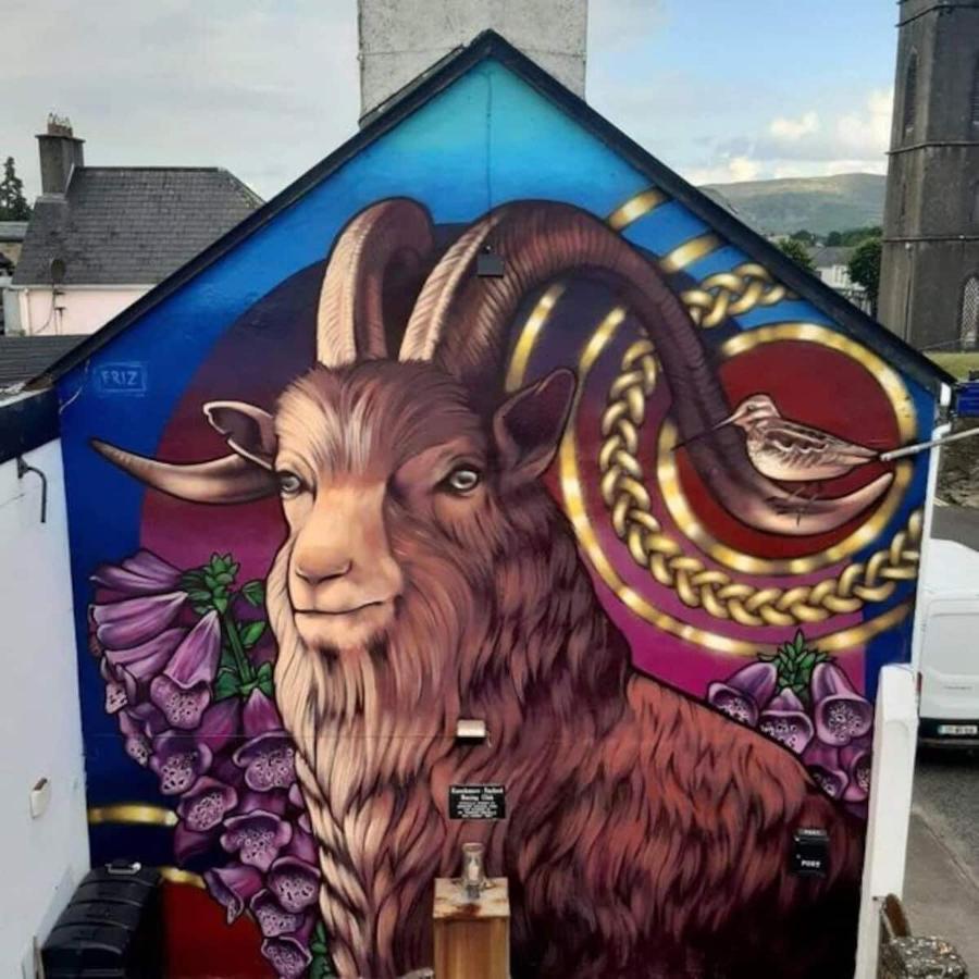 'Senan' Luxury Double Room Foxford Exterior photo